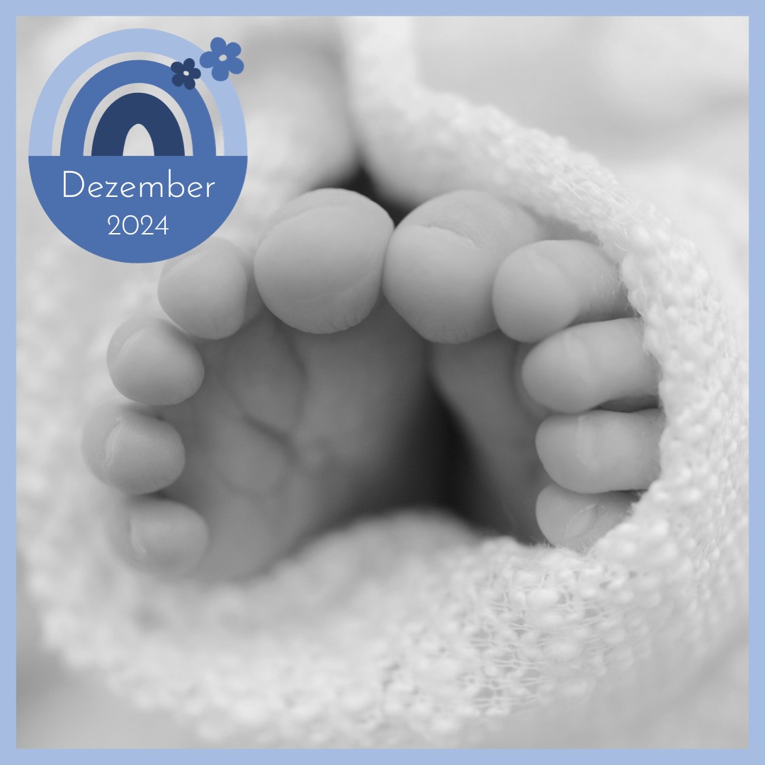 Babygalerie Dezember24