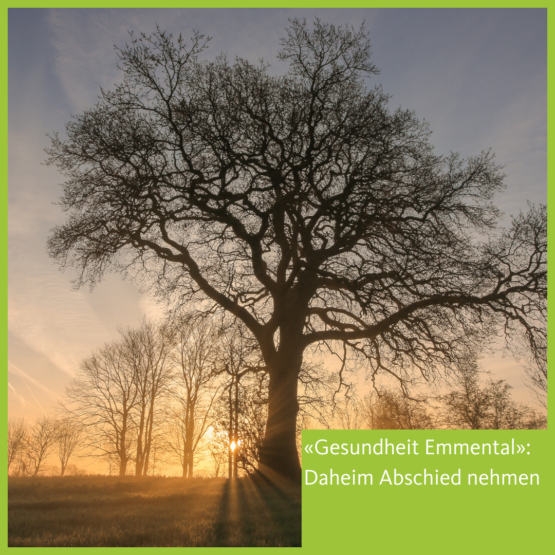 GE Pallativdienst