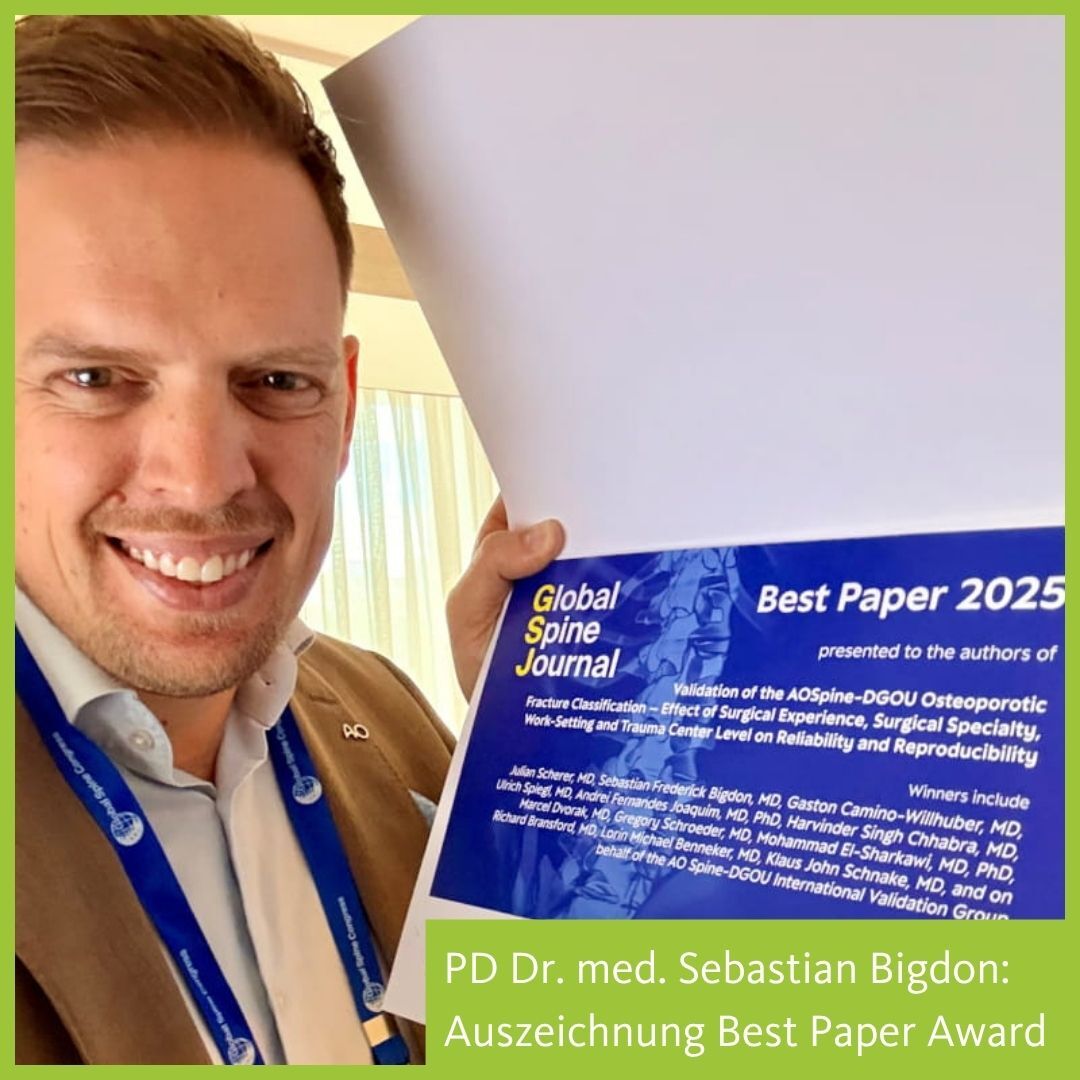 Auszeichnung S. Bigdon_Paper